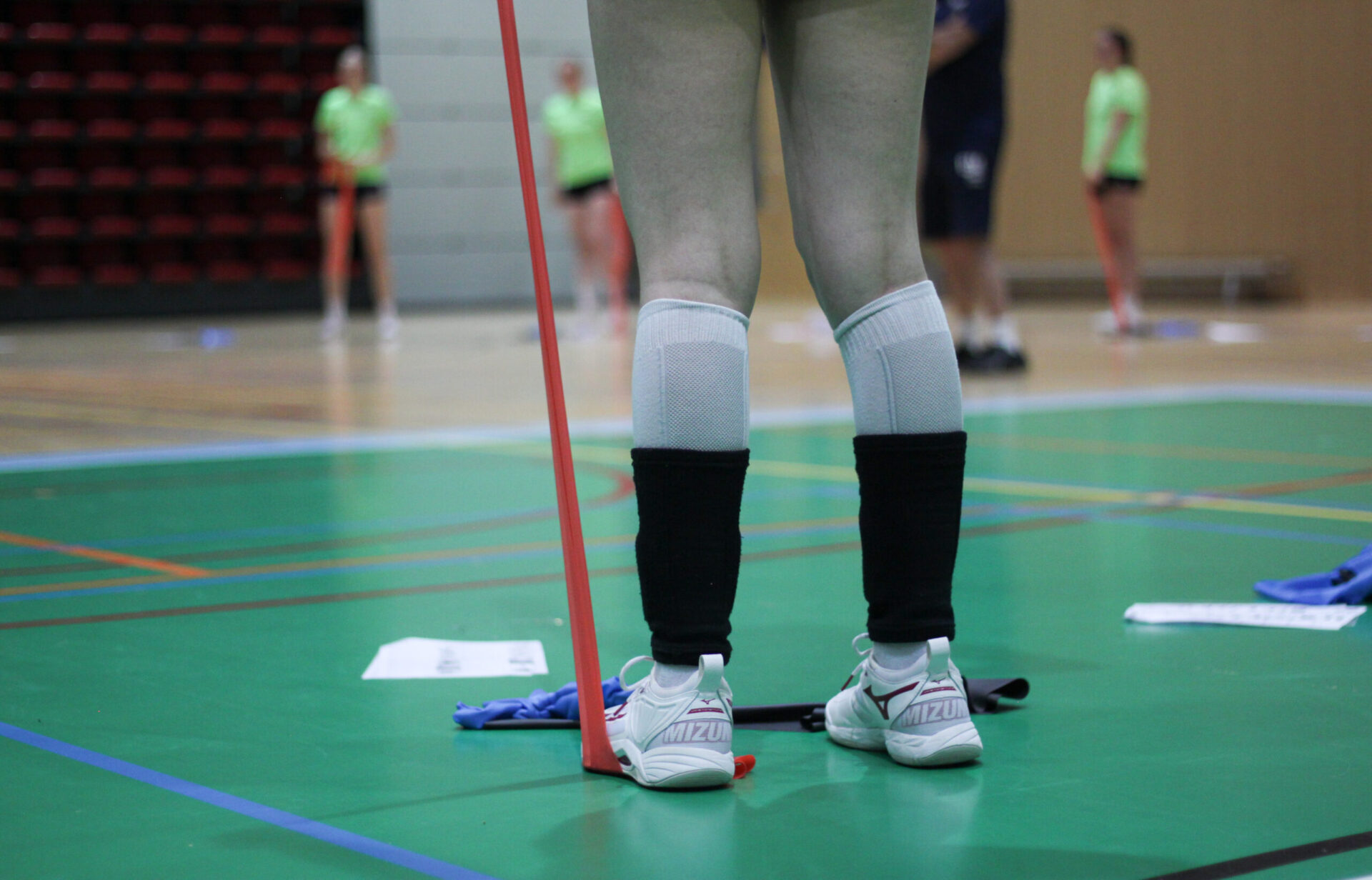 STA-volleybal
