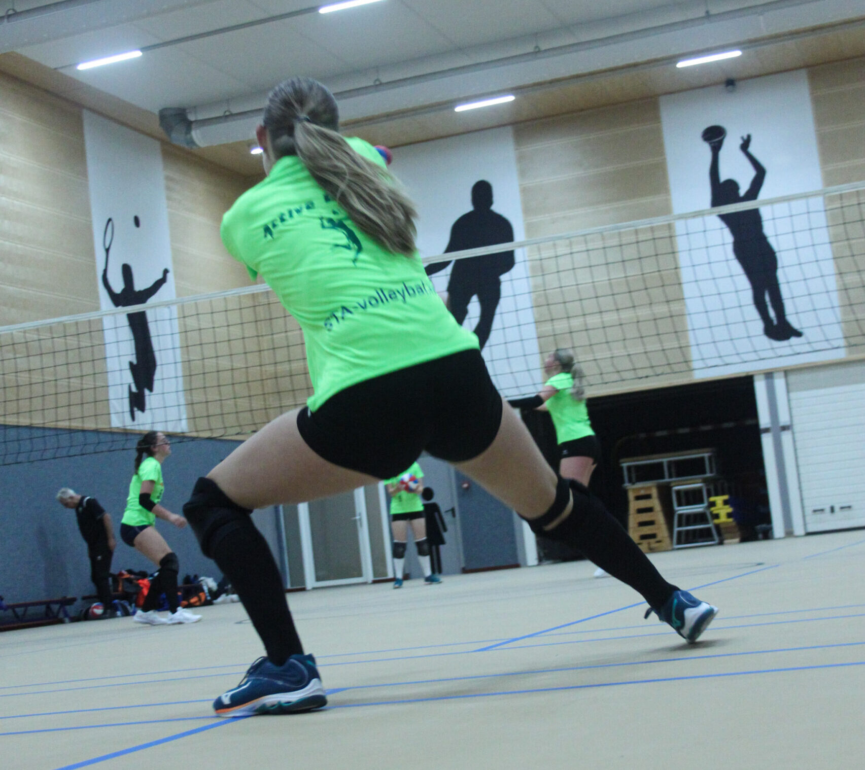 STA-volleybal